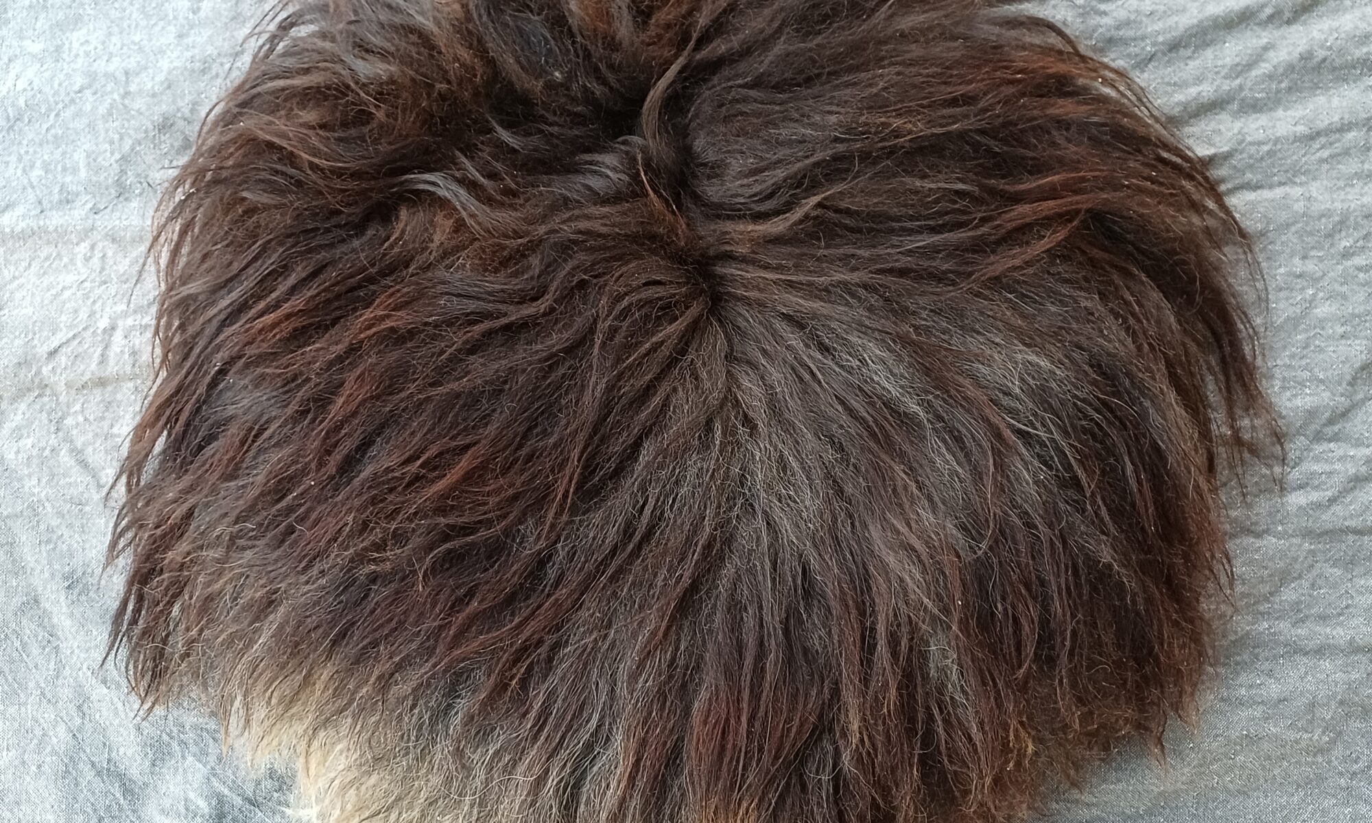 istuinalusta musta/valkoinen