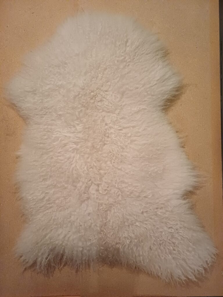karitsantalja lampaantalja