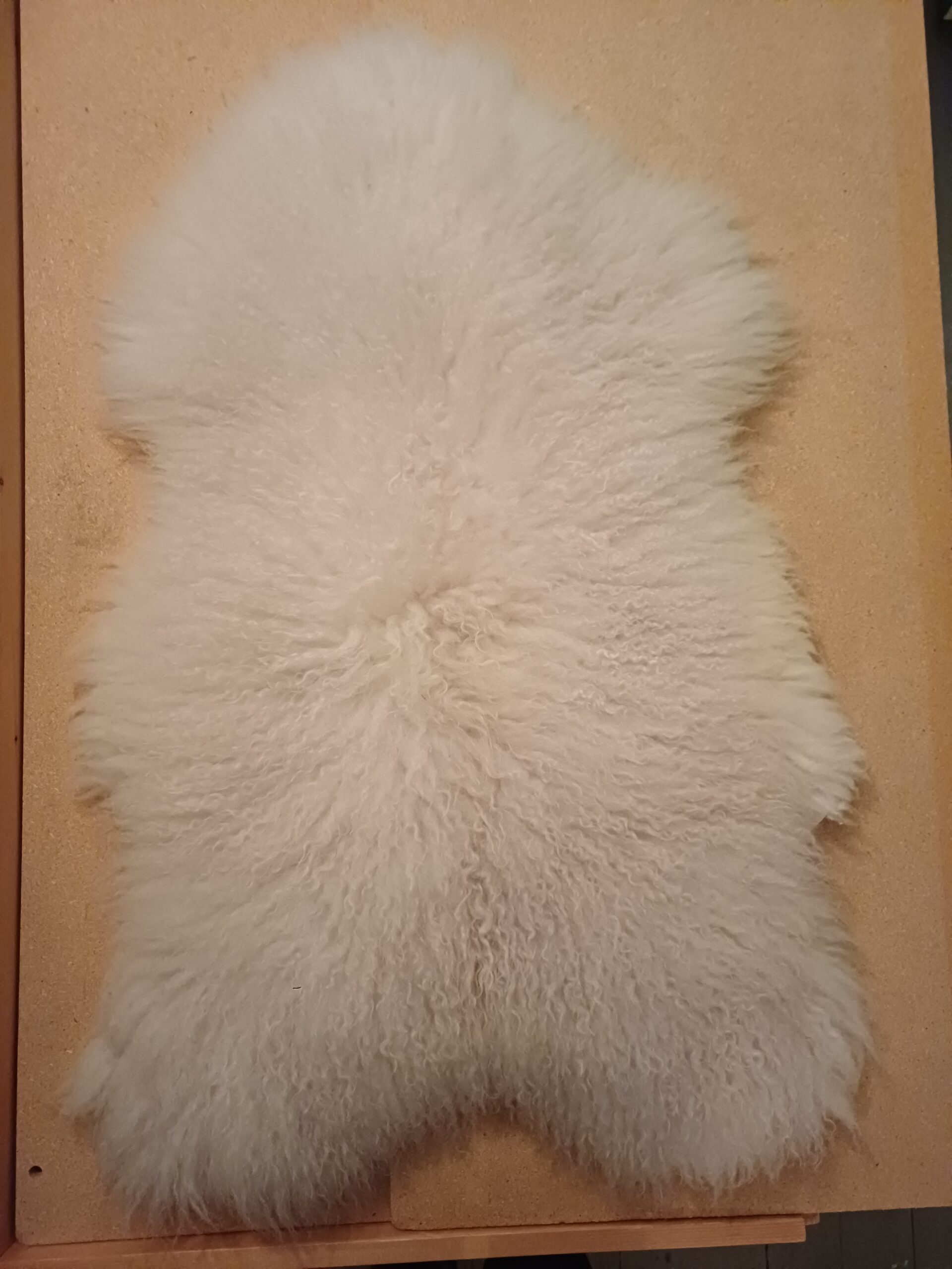 lampaantalja