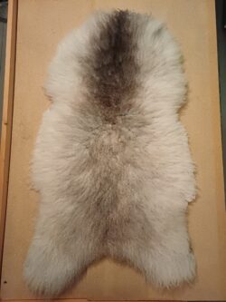 lampaantalja