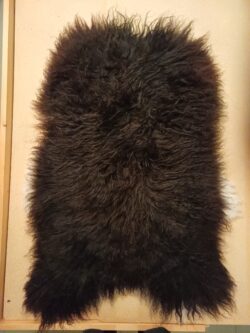 karitsantalja lampaantalja