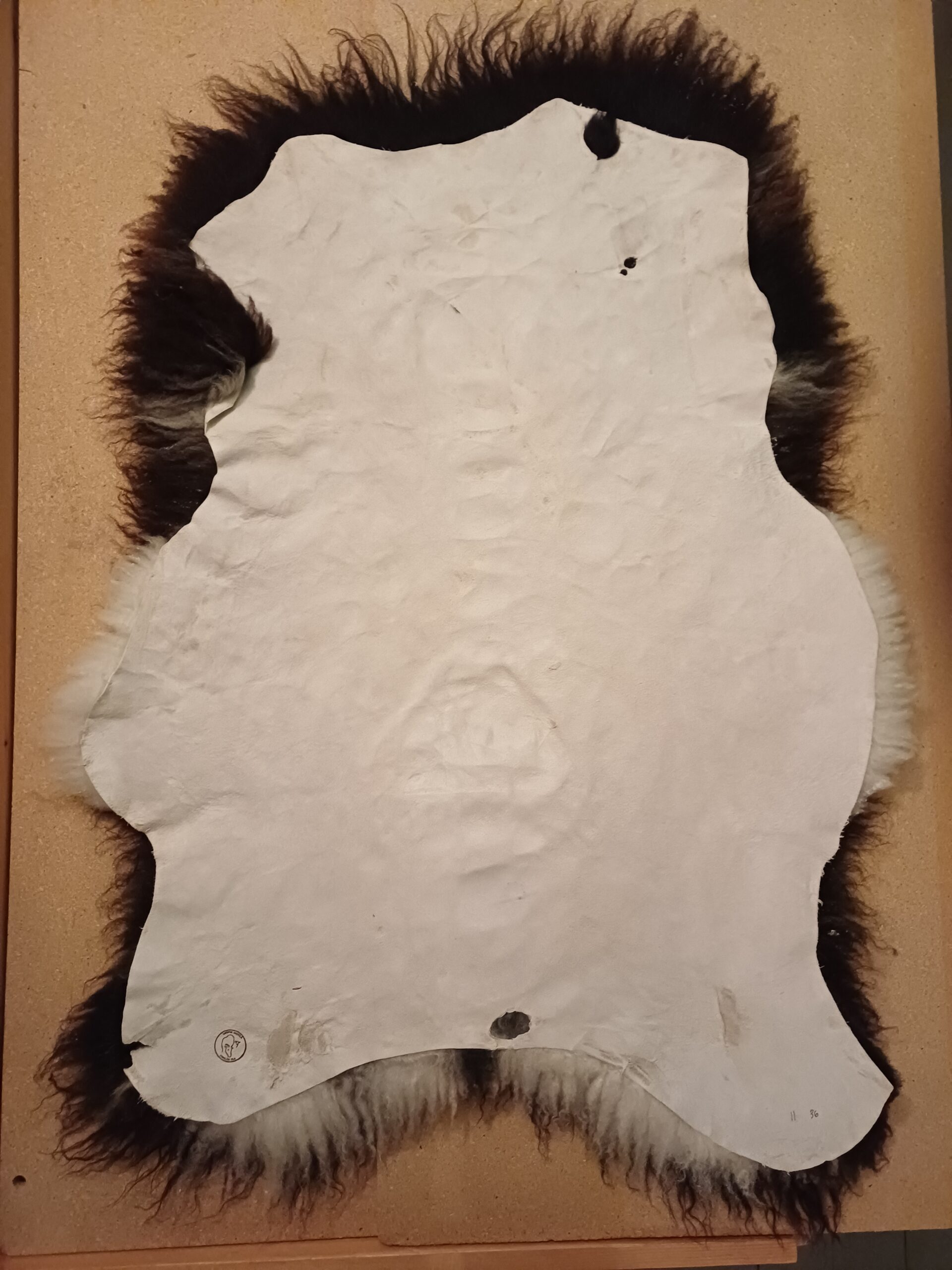 Karitsantalja (isompi) - Image 2