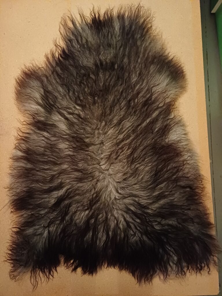 karitsantalja lampaantalja