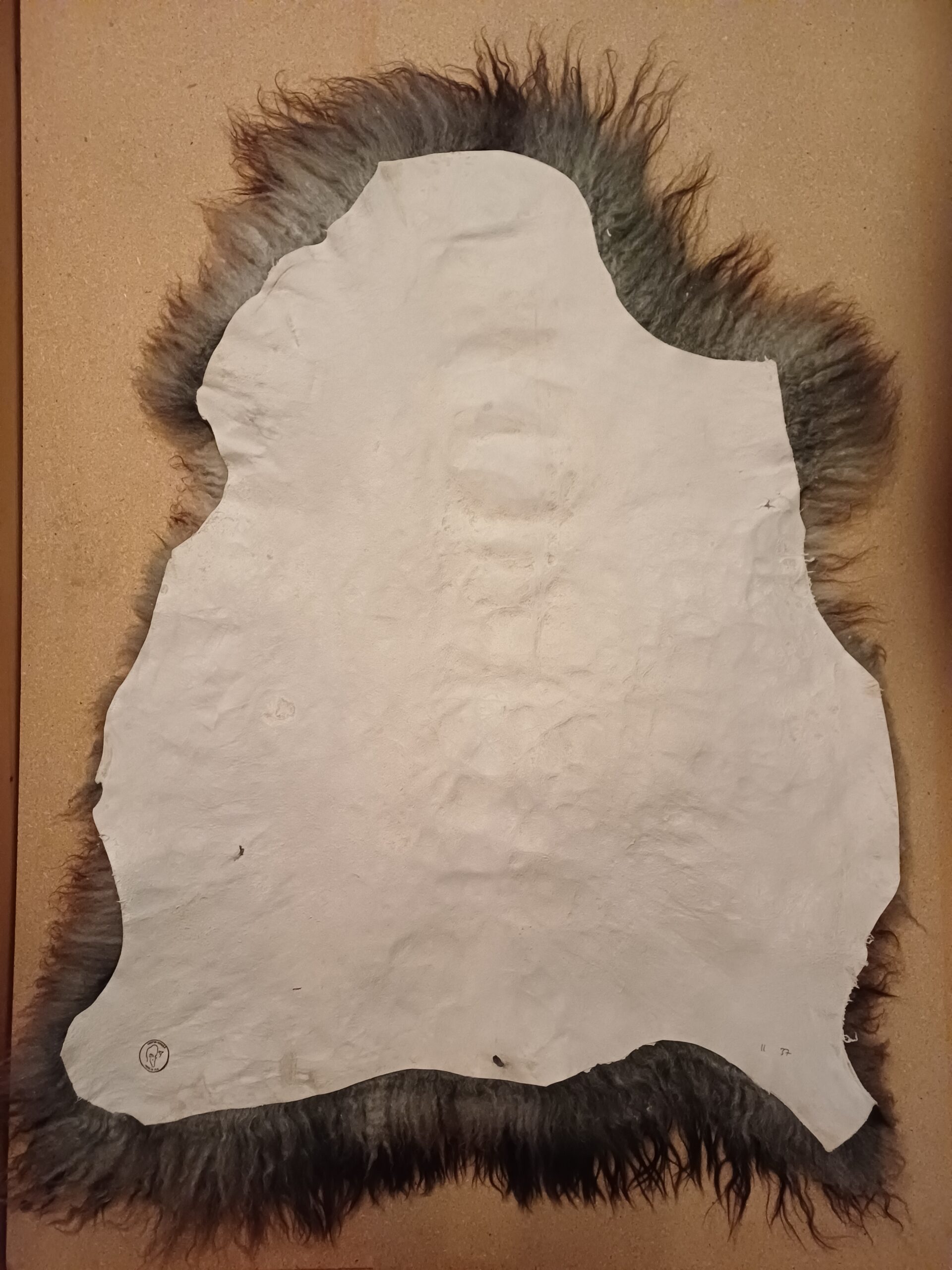 Karitsantalja (isompi) - Image 2
